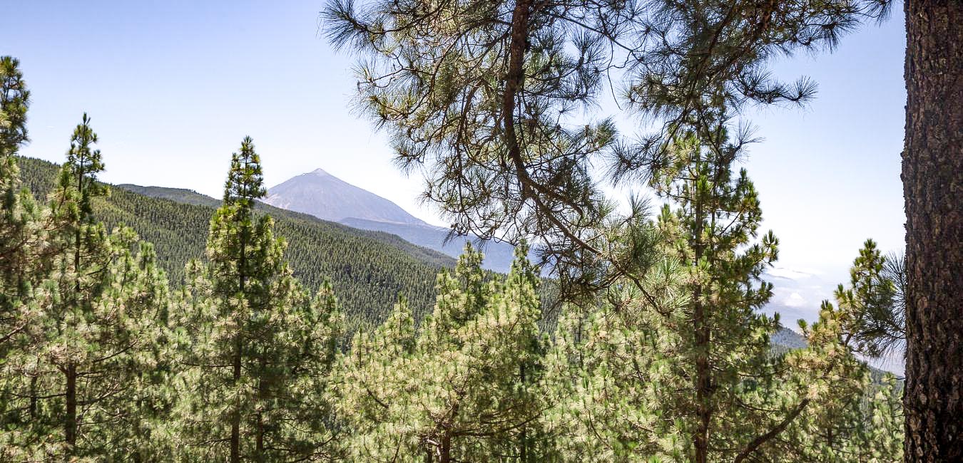 Las 🌄 Paisaje Protegido de Tenerife