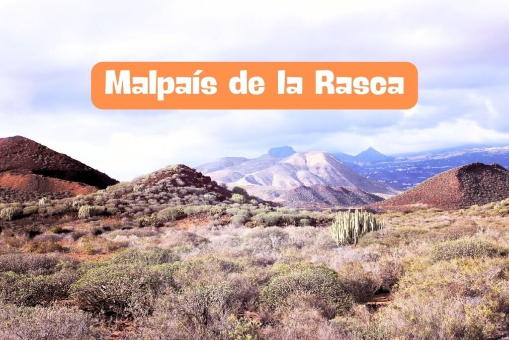 Malpaís de la Rasca en Tenerife : Reserva Natural Especial de Arona