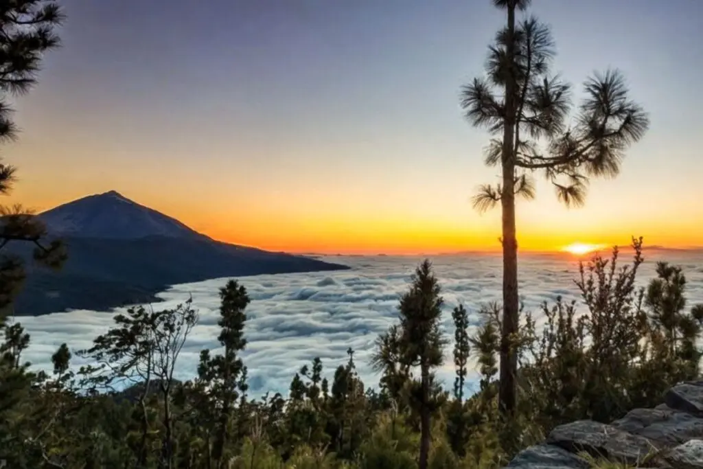 Mirador de Chipeque: ¿Listo para Descubrir Vistas Impresionantes de Tenerife?