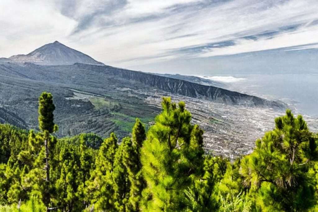 Mirador de Chipeque: ¿Listo para Descubrir Vistas Impresionantes de Tenerife?