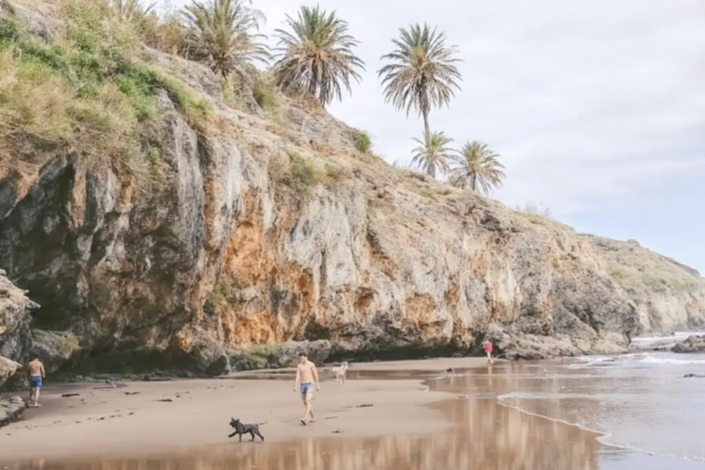 Descubre Playa de Castro: La Joya Oculta de Tenerife 