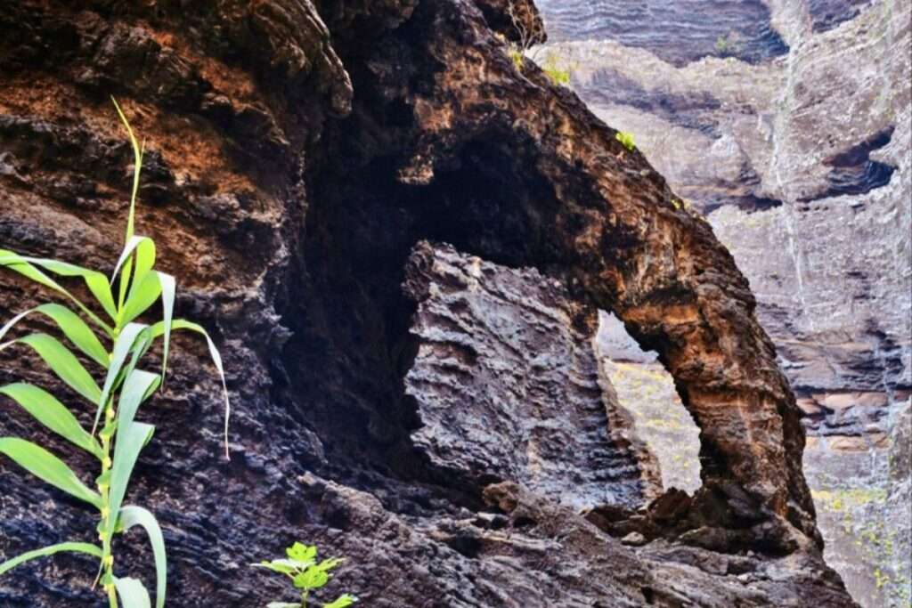 La Trompa de Elefante del Barranco de Masca: ¿Dónde se ubica?