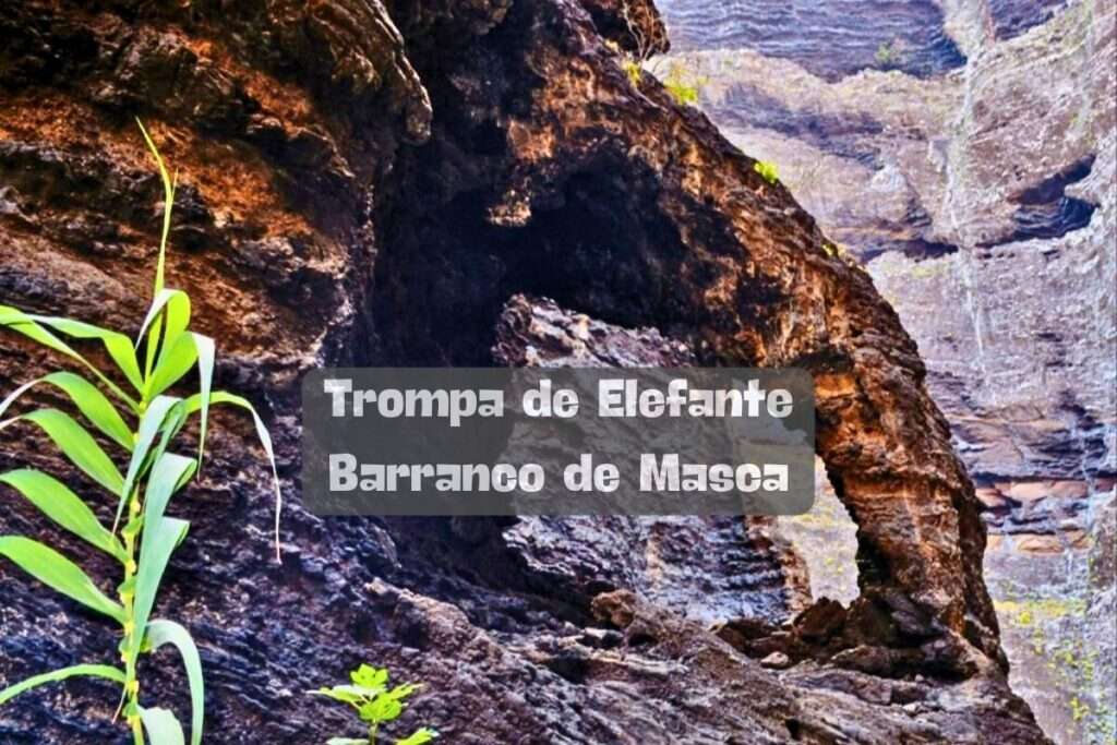 La Trompa de Elefante del Barranco de Masca: ¿Dónde se ubica?