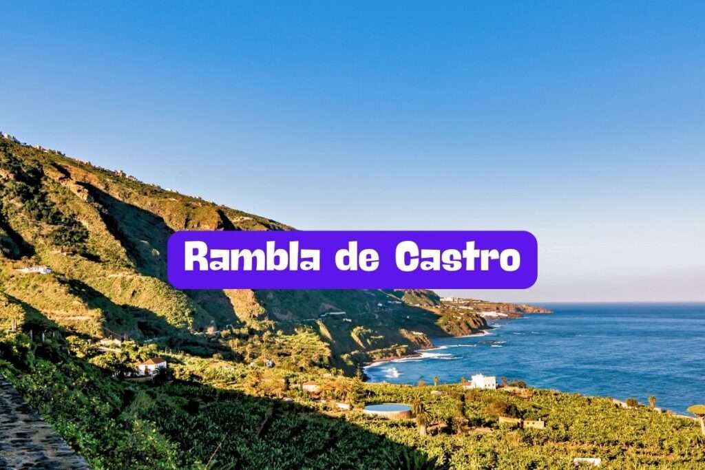 Rambla de Castro en Tenerife: Conoce su belleza natural