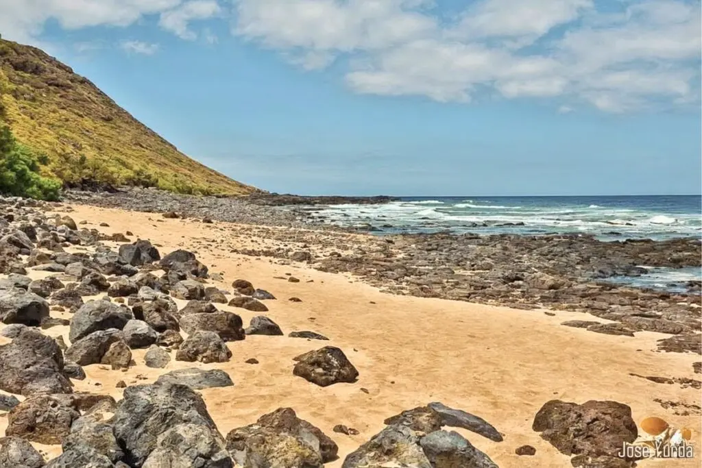 The Celery Beach (Valle Guerra) - Tenerife Island