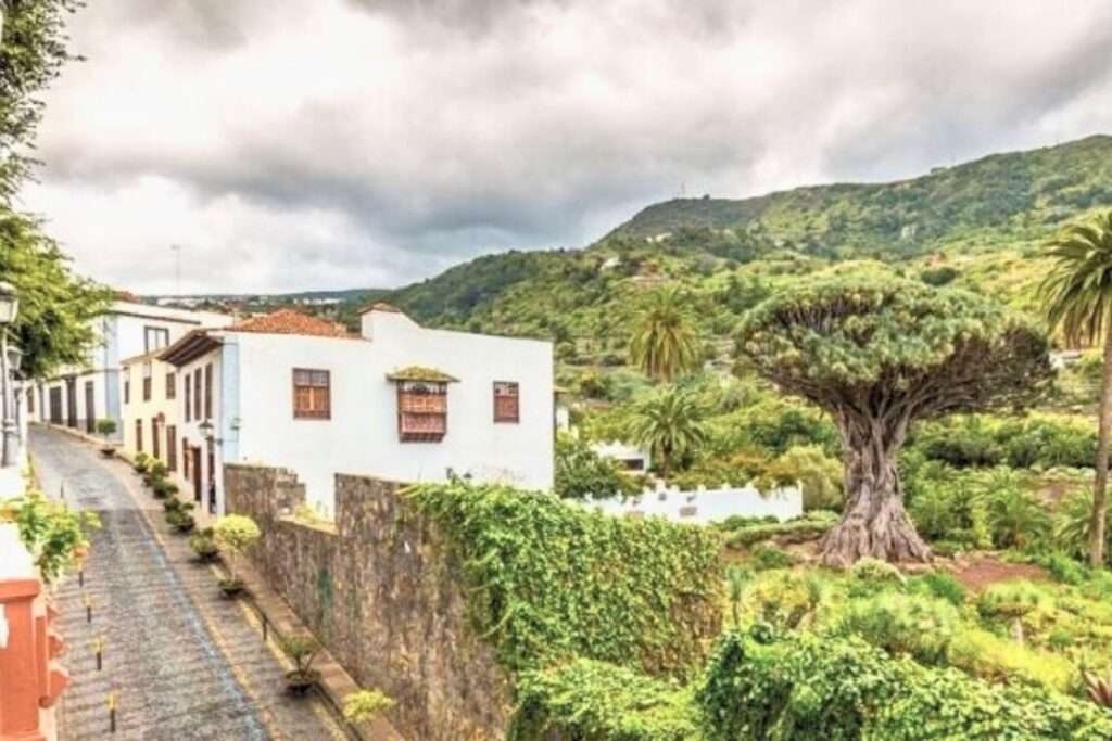 El Drago Milenario de Tenerife: Un tesoro natural que cautiva al mundo