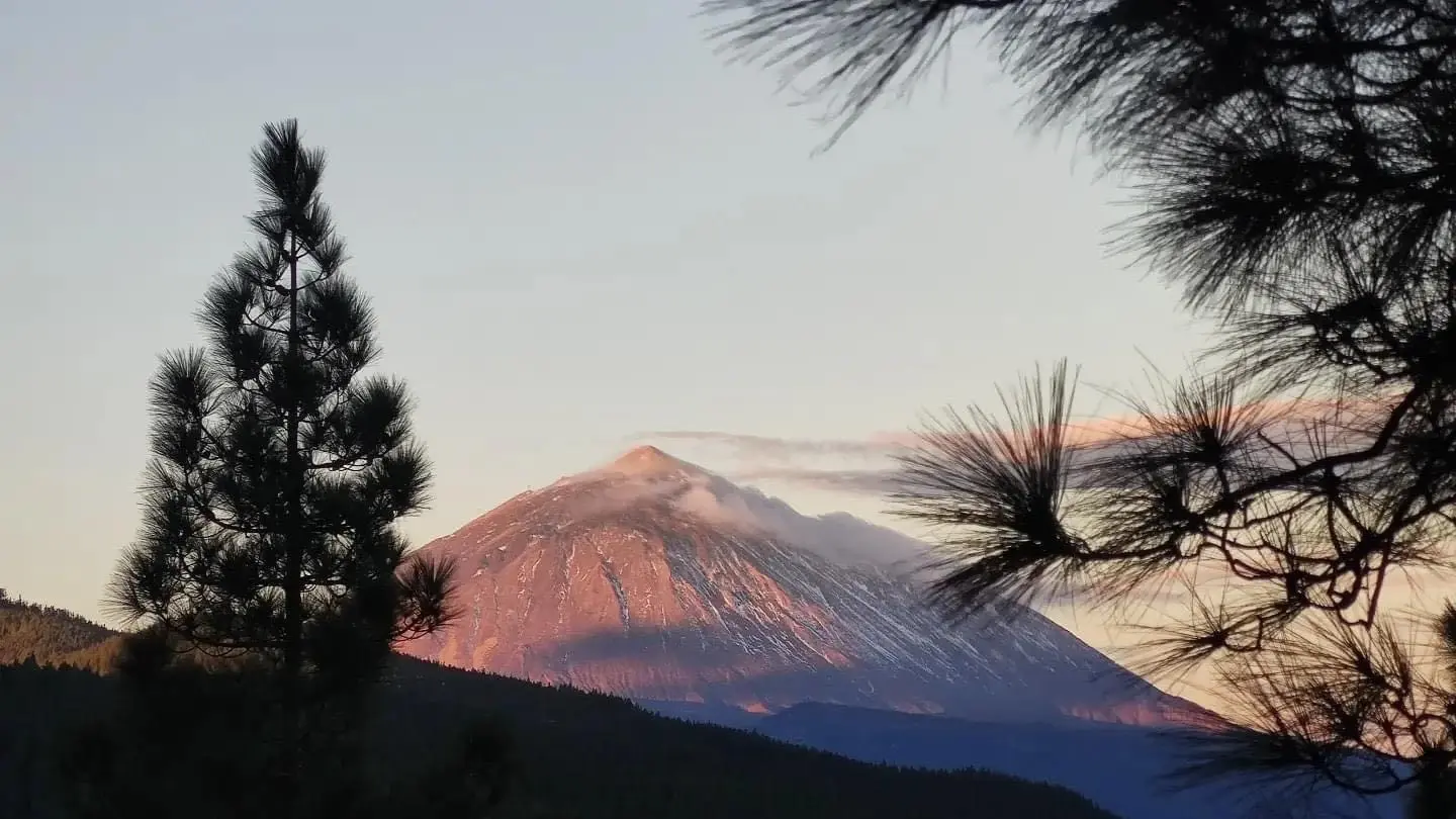 Parque Natural Corona Forestal en Tenerife