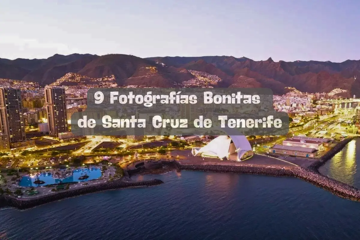 9 Fotografías Bonitas de Santa Cruz de Tenerife que te Enamorarán