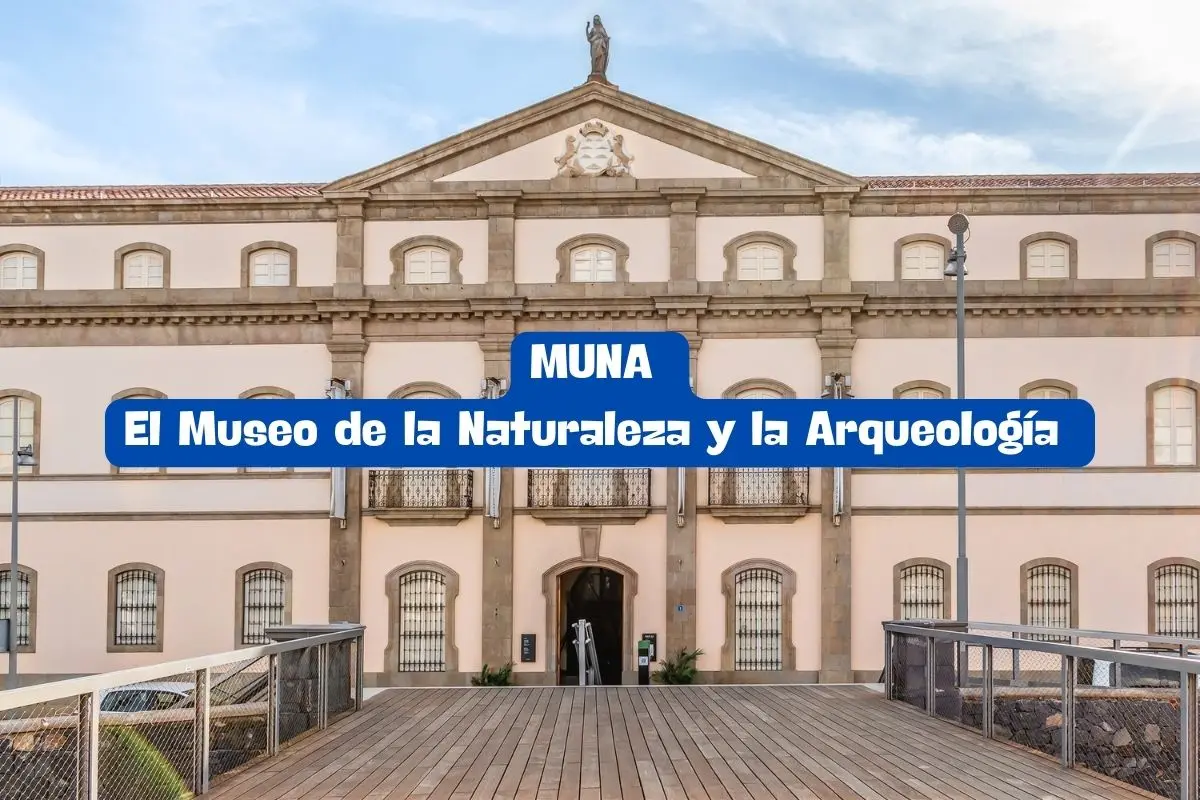 MUNA: El Museo de la Naturaleza y la Arqueología 🌍