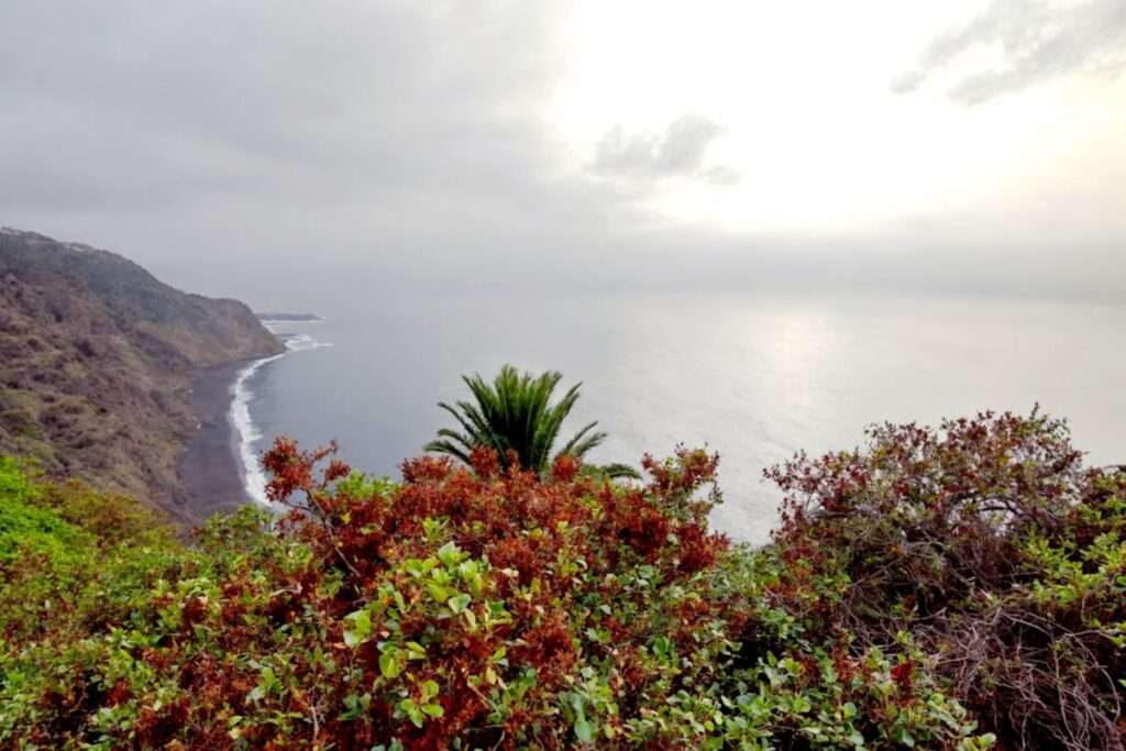 ¿Subirías los 500 Escalones? Descubre el Mirador Escondido de Tacoronte en Tenerife