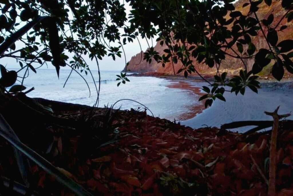 Playa Chica en Santa Cruz de Tenerife: Un Tesoro Natural