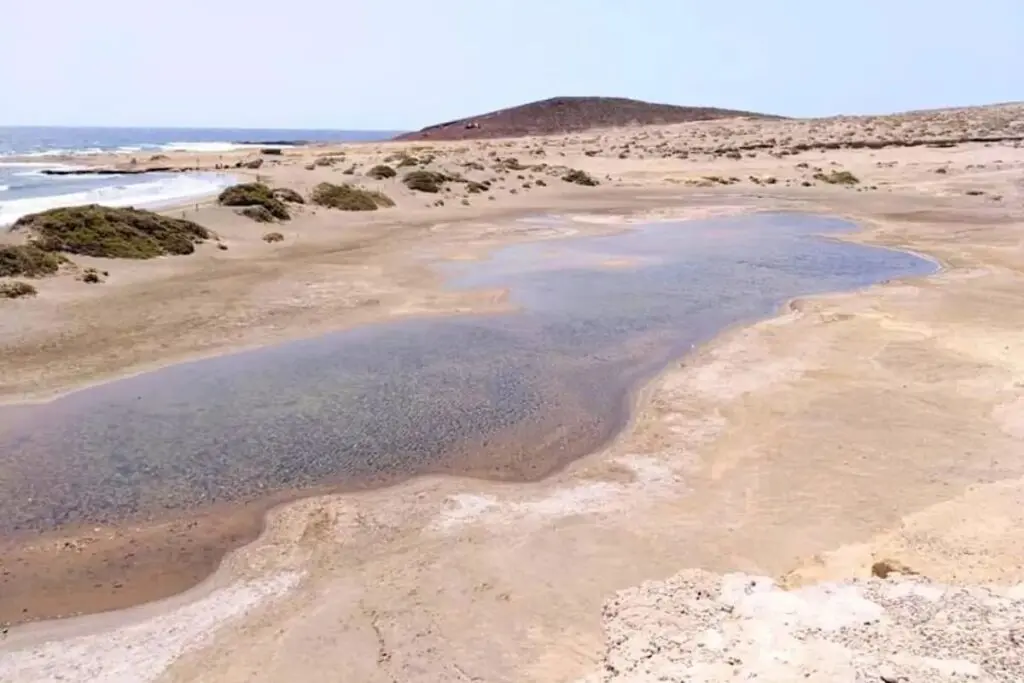 Humedal de La Mareta