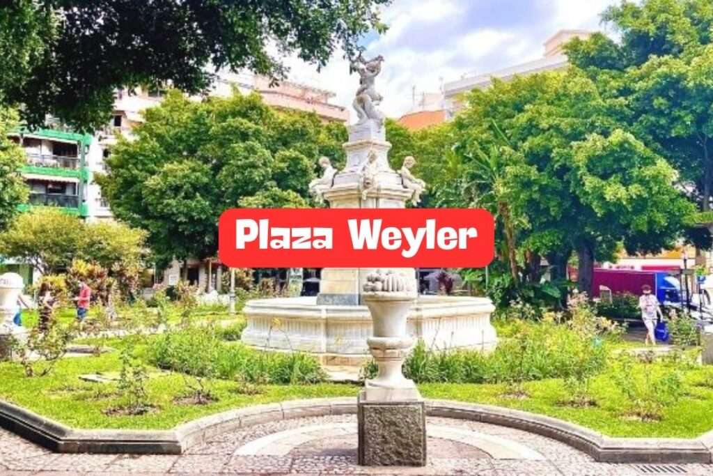 Plaza Weyler en Santa Cruz de Tenerife 🌆