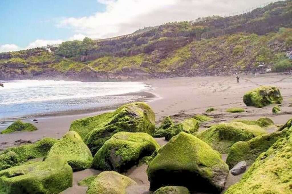 Playa El Bollullo: Explora la Belleza Natural del Norte de Tenerife